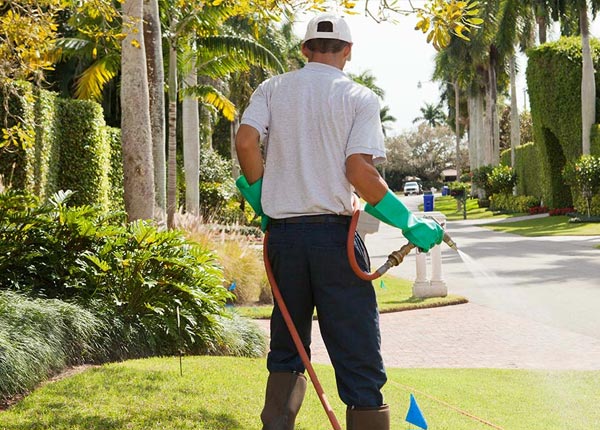 About Tallassee TN Pest Control Pros